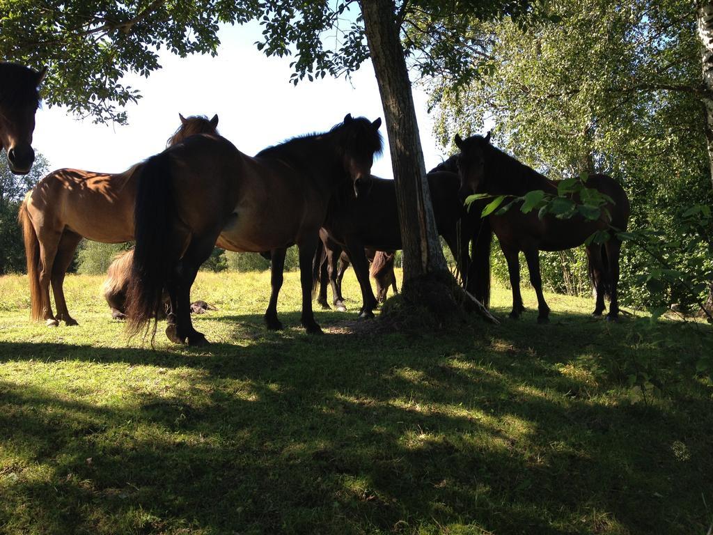 Karaby Gard, Country Living Hostel Kristinehamn Bagian luar foto