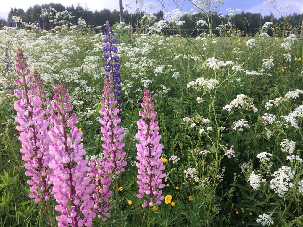 Karaby Gard, Country Living Hostel Kristinehamn Bagian luar foto